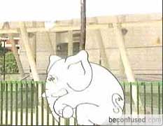 Eight of these white elephants are spotted at Buangkok MRT Station.